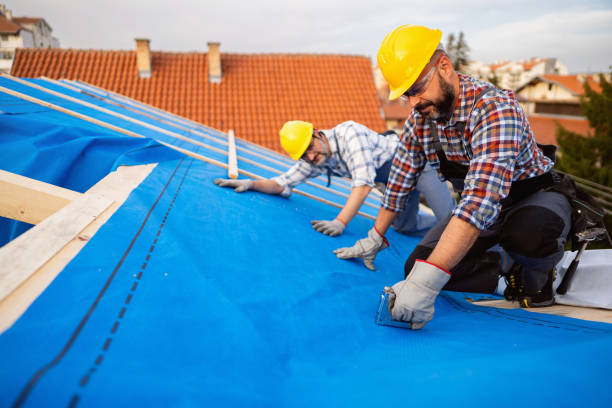 Best Metal Roofing Contractor  in Sioux City, IA