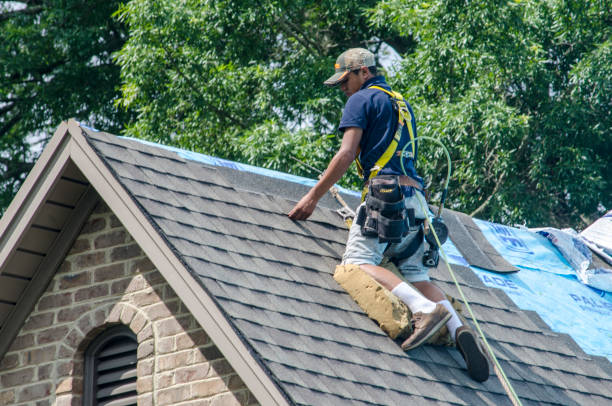 Best Storm Damage Roof Repair  in Sioux City, IA